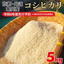 【ふるさと納税】【令和6年産先行予約】【お試し】米 5kg コシヒカリ 佐伯の里の源流米［新米・先行予約・令和6年産米］ 白米 5キロ 低農