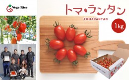 【ふるさと納税】玉名市産ミニトマト「トマ・ランタン」 1kg