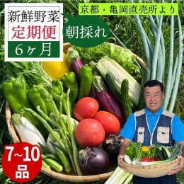 【ふるさと納税】野菜 定期便 直送 6回 朝採れ 7〜10品目 京都丹波 亀岡 佐伯の里 訳あり生活応援 家計応援 ※北海道・沖縄・離島への配