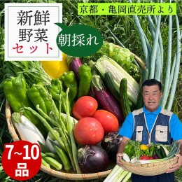 【ふるさと納税】訳あり 新鮮 季節の野菜 セット 7〜10品目農家直送 朝採れ 亀岡 佐伯の里 京都丹波産 家計応援 生活応援 ※北海道・沖縄