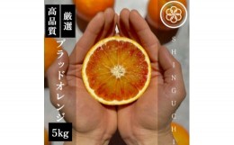 【ふるさと納税】＜真っ赤な高級柑橘＞新口農園厳選 ブラッドオレンジ 5kg＜C70-18＞【1470701】