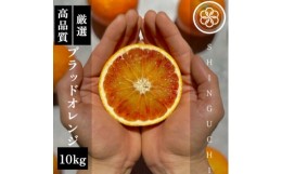 【ふるさと納税】＜真っ赤な高級柑橘＞新口農園厳選 ブラッドオレンジ 10kg＜F70-19＞【1470694】