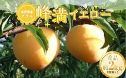 【ふるさと納税】《2024年先行予約》山形県産 プラム 峰満イエロー 約2kg （8玉〜13玉） 秀品 化粧箱入り FSY-0824