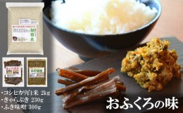 【ふるさと納税】こだわりの棚田米（コシヒカリ）とおふくろの味（きゃらぶき・ふき味噌）セット[ZB567]