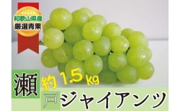 【ふるさと納税】瀬戸ジャイアンツ 約1.5kg ★数量限定・大人気★ 8月下旬以降発送