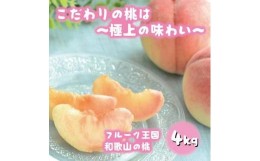 【ふるさと納税】フルーツ王国　和歌山の桃　約４kg（fr-07）【先行予約】【2024年6月中旬〜2024年7月下旬発送】