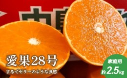 【ふるさと納税】【12月上旬頃より発送】 愛果28号 約2.5kg 家庭用 みかん 柑橘 果物 フルーツ 松山市 愛媛県 柑橘 みかん フルーツ 果物