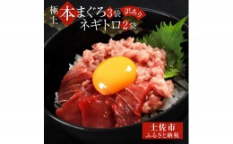 【ふるさと納税】訳あり 本鮪端材切り落とし・ネギトロセット 本鮪切落し100g×3・ネギトロ70g×2 本マグロ まぐろ マグロ ねぎとろ ネギ