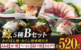 【ふるさと納税】【最速発送】美味しい鯨5種詰め合わせBセット（大和煮缶詰170g、オバ鯨100g、ベーコンスライス100g、湯かけくじら100g、