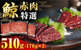 【ふるさと納税】【最速発送】赤肉特選170g×3個セット くじら 鯨 長崎市/日野商店 [LES037] スピード 最短 最速 発送