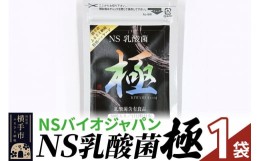 【ふるさと納税】NS乳酸菌「極」(横手市特別パッケージ) 1パック