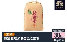 【ふるさと納税】【玄米】令和5年産 特別栽培米あきたこまち（２等米） 30kg