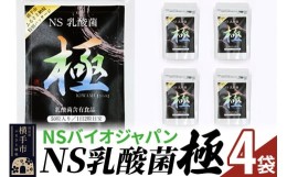 【ふるさと納税】NS乳酸菌「極」(横手市特別パッケージ) 4パック