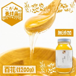 【ふるさと納税】飛騨産 生蜂蜜 百花蜜 1200g 国産無添加 百花 はちみつ ギフト ハニー 非加熱[Q1196]