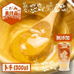 【ふるさと納税】飛騨産 生蜂蜜 トチ蜜 300g 国産無添加 とち蜜 はちみつ ギフト ハニー 非加熱[Q1197]