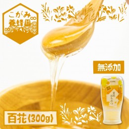 【ふるさと納税】飛騨産 生蜂蜜 百花蜜 300g 国産無添加 百花 はちみつ ギフト ハニー非加熱[Q1195]