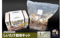 【ふるさと納税】ご自宅でブランド椎茸を栽培！しいたけ栽培キット