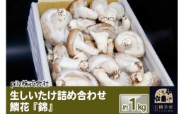 【ふるさと納税】鱗花 -錦-（生椎茸） 約1kg