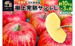 【ふるさと納税】《定期便3ヶ月》樹上完熟サンふじ ご家庭用 約10kg（1回26〜46玉前後）×3回 計30kg 3か月 3ヵ月 3カ月 3ケ月