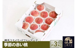【ふるさと納税】季節の赤い桃 約3kg