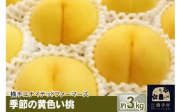 【ふるさと納税】季節の黄色い桃 約3kg