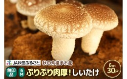 【ふるさと納税】しいたけ 無印品 6M（約100g）×30パック