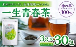 【ふるさと納税】一生青春茶 30包 サプリ サプリメント 神の草 日本山人参 ヒュウガトウキ ティーバッグ【ひなたふぁーむ】[YBG001] 