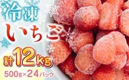 【ふるさと納税】【数量限定】 冷凍 いちご 計12kg ( 500g × 24P ) 農園直送 産地直送 熊本県産 山都町産 イチゴ 苺 ストロベリー フル