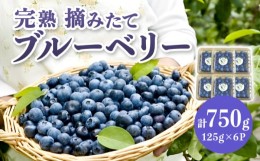 【ふるさと納税】【2024年先行予約】熊本県産 山都町産 生果 ブルーベリー 計750g ( 125g × 6個 ) ブルーベリー フルーツ スムージー 果