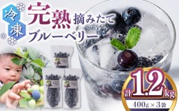 【ふるさと納税】【8月より順次発送】冷凍ブルーベリー 計1.2kg (400g × 3パック) 果物 ブルーベリー フルーツ 小分け 熊本 冷凍 ブルー