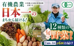 【ふるさと納税】【全6回隔週定期便】有機野菜 12種セット 野菜 詰め合わせ 熊本県産 山都町産 産地直送  オーガニック【株式会社 肥後や