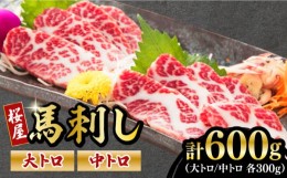 【ふるさと納税】馬刺し 2種 大トロ 中トロ 計600g 300g×2パック 熊本 冷凍 馬肉 馬刺 ヘルシー【有限会社 桜屋】[YBW061] 