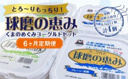 【ふるさと納税】【6ヶ月定期便】とろ〜りもっちり!球磨の恵みヨーグルトセット(加糖・砂糖不使用各1kgx2個 計4個)計24kg