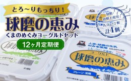 【ふるさと納税】【12ヶ月定期便】とろ〜りもっちり!球磨の恵みヨーグルトセット(加糖・砂糖不使用各1kgx2個 計4個)計48kg