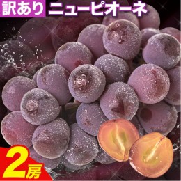 【ふるさと納税】【先行予約】訳あり ニューピオーネ 約1.2kg 2房 葡萄 果物 秋旬 訳あり 優品 厳選出荷 スイーツ フルーツ デザート 岡