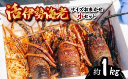 【ふるさと納税】箱詰め伊勢海老サイズおまかせ小セット（約１．０？）  伊勢海老 活伊勢海老 約1kg サイズおまかせ 伊勢えび 伊勢エビ 