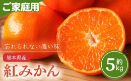 【ふるさと納税】熊本県産 家庭用 紅みかん 約 5kg 下田農園 | フルーツ 果物 くだもの 柑橘 柑橘類 みかん ミカン 熊本県 玉名市