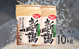 【ふるさと納税】令和5年産【GH08】〈お米ソムリエのお米〉五泉市四ヶ村産　特別栽培米コシヒカリ玄米10？