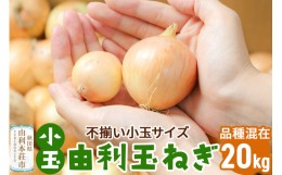 【ふるさと納税】由利本荘市産　由利玉ねぎ（小玉）20kg【品種混在】