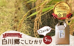 【ふるさと納税】先行予約 令和6年産 こしひかり 定期便 5kg 12回 事前予約 白川郷 戸ヶ野のこしひかりプレミアム 5キロ 12か月 新米 常