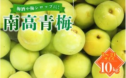 【ふるさと納税】【先行予約】【JAながみね】L〜2Lサイズおまかせ 紀美野町産 南高青梅 10kg【2024年6月中旬より順次発送致します。】