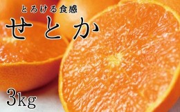 【ふるさと納税】 とろける食感！ジューシー柑橘 せとか 約3kg【予約】 ※2025年2月末頃〜2025年3月中旬頃発送(お届け日指定不可)/ せと