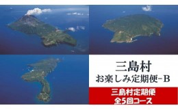 【ふるさと納税】【定期便/全５回-5カ月連続お届け】三島村からのお届けお楽しみ定期便-B（焼酎720ml×2本・肩肉270g・椿うどん200g×5袋