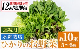 【ふるさと納税】i850 ＜定期便・計12回(連続月)＞ひかりのお野菜(約10束・5〜6種) 国産 野菜 やさい 葉物 旬 ほうれん草 水菜 チンゲン