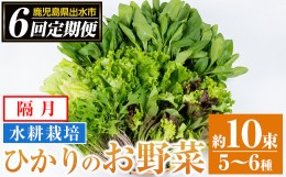 【ふるさと納税】i678-A ＜定期便・計6回(隔月)＞ひかりのお野菜(約10束・5〜6種) 野菜 やさい 葉物 旬 定期便 ほうれん草 水菜 チンゲン