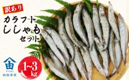 【ふるさと納税】【価格改定予定】訳あり ししゃも ３kg カラフト 丸干し 干物 ひもの  セット 冷凍