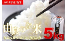 【ふるさと納税】新米 2023年産 令和5年度産 キヌヒカリ にじのきらめき 5kg 和歌山県由良町産