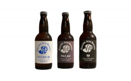 【ふるさと納税】クラフトビール3種セット(A) 330ml×3本 地ビール ペールエール セッションIPA IPA