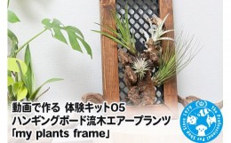 【ふるさと納税】動画で作る 体験キット05 ハンギングボード流木エアープランツ「my plants frame」