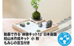 【ふるさと納税】動画で作る 体験キット12 日本庭園 枯山水作成キット 小 秋 もみじの苔玉付き